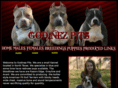 godinezpits.com