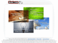 bleet.com