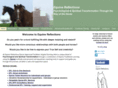 equinereflections.co.uk