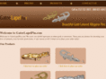 gatorlapelpin.com