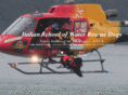 waterrescuedog.com