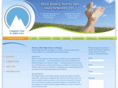 blueridgefootcareandsurgery.com