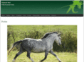glaisnoekstud.com