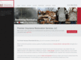 premierinsrestservices.com