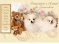 pomeranianpompadour.com