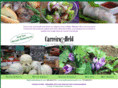 recipeslideshows.com
