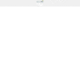 sinaglass.com