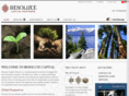 resolutecapitalpartners.com