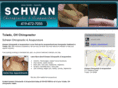 schwanchiropractic.com