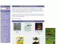 waysidemusic.com
