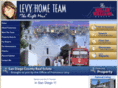 levyregroup.com