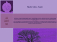 mystic-indian-healer.com