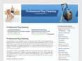 professionalrugcleaning.net