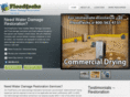 elocalwaterdamage.com
