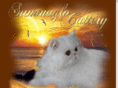 summaglocattery.com