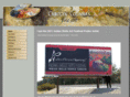carolynsfineart.com