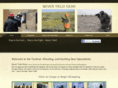 neveryieldgear.com