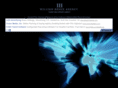 williambruceagency.com