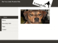 nils-inside.com