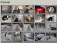 susanna-kronke.com
