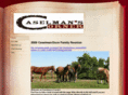 caselmanscorner.com