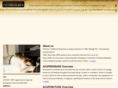 chinesetraditionalacupressure.com