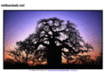 oldbaobab.net