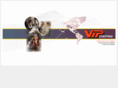 vipstaffing.com