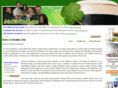 irishcarbomb.com