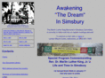 mlkinsimsbury.org