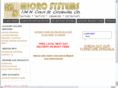 microsystemsoffice.com