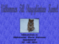 skogsglaentans.com