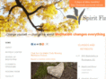 spiritfire.com