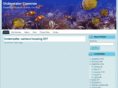 underwatercamerastobuy.com