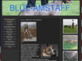 blue-amstaff.com