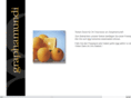 graphamundi.com