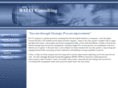 raiitconsulting.com