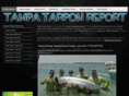 tampa-tarpon-fishing.com