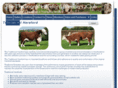 traditionalherefords.net