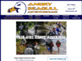 angryseagullrace.com