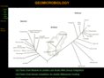 geomicrobiology.org