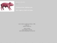 ivo-design.com