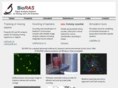bioras.com
