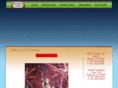 bracesforhemet.com