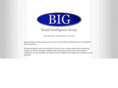 brandintelligencegroup.com