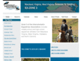 ridezone3.com