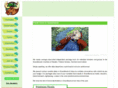 scandinavianpackages.com