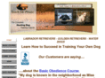 teachmeplease.com