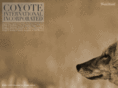 coyoteinternational.com