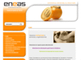 eneas.es